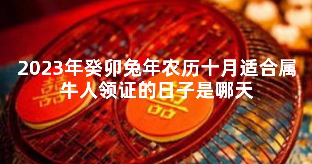 2023年癸卯兔年农历十月适合属牛人领证的日子是哪天