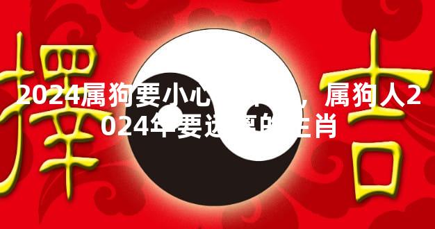 2024属狗要小心一个人，属狗人2024年要远离的生肖