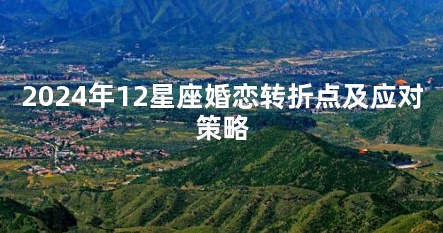 2024年12星座婚恋转折点及应对策略