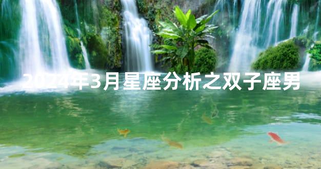 2024年3月星座分析之双子座男