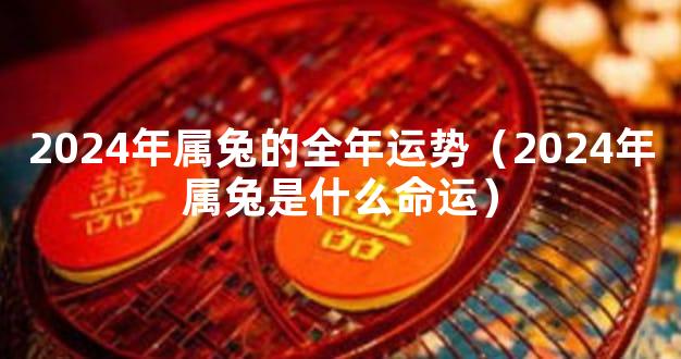 2024年属兔的全年运势（2024年属兔是什么命运）