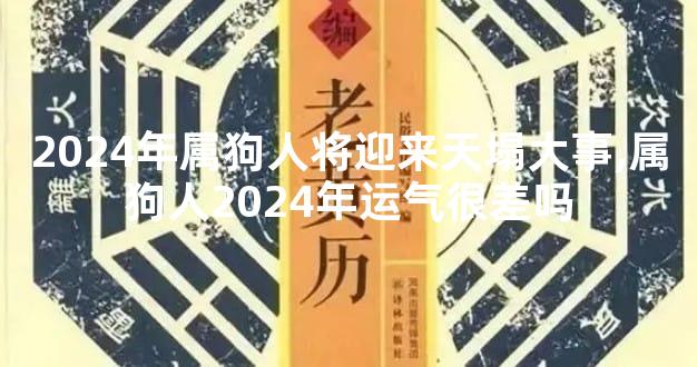 2024年属狗人将迎来天塌大事,属狗人2024年运气很差吗