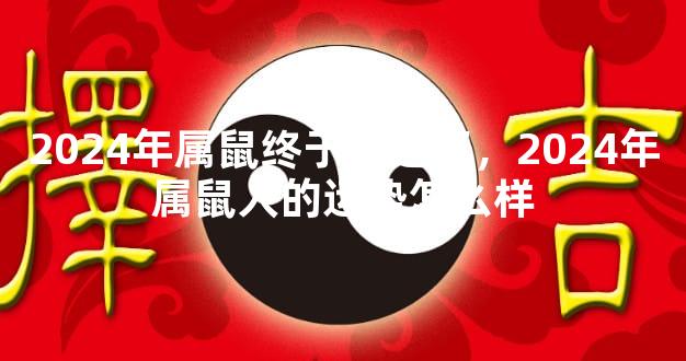 2024年属鼠终于转运了，2024年属鼠人的运势怎么样