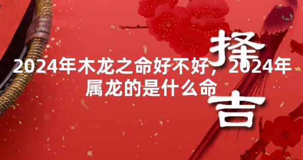 2024年木龙之命好不好，2024年属龙的是什么命