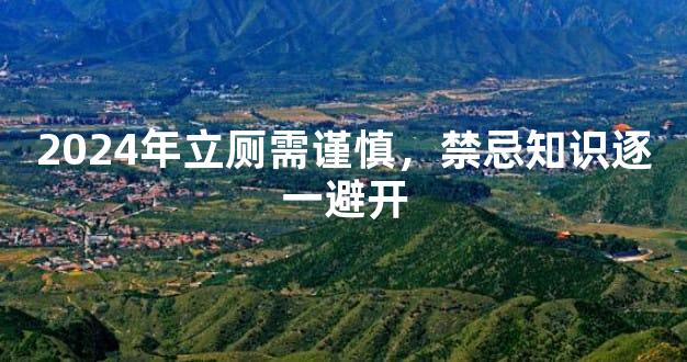 2024年立厕需谨慎，禁忌知识逐一避开