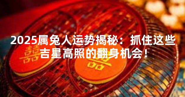 2025属兔人运势揭秘：抓住这些吉星高照的翻身机会！