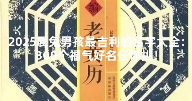 2025属兔男孩最吉利的名字大全：300个福气好名任你挑！