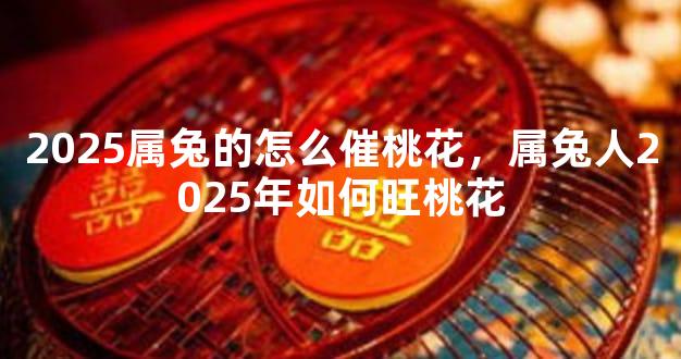 2025属兔的怎么催桃花，属兔人2025年如何旺桃花
