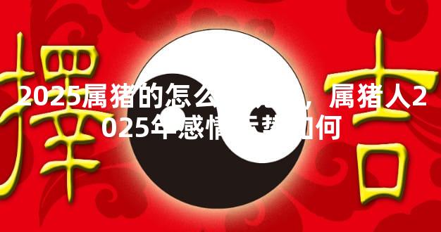 2025属猪的怎么催桃花，属猪人2025年感情运势如何
