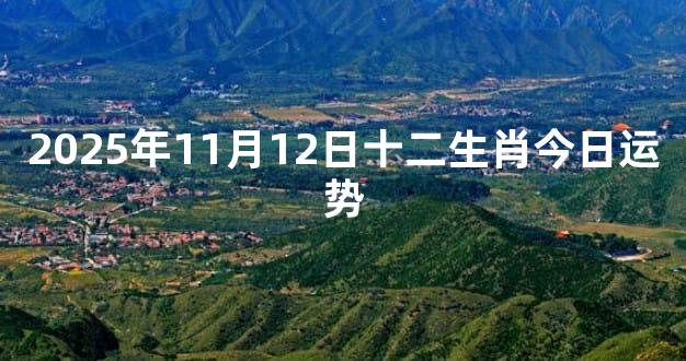 2025年11月12日十二生肖今日运势