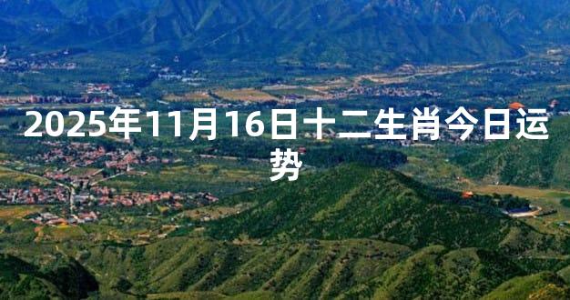 2025年11月16日十二生肖今日运势