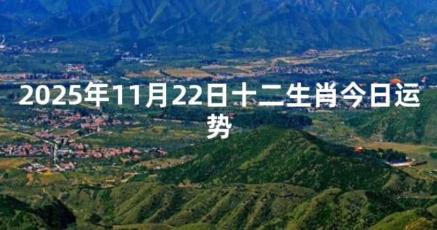 2025年11月22日十二生肖今日运势