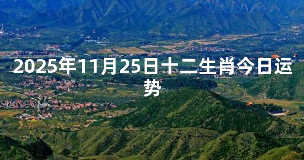 2025年11月25日十二生肖今日运势
