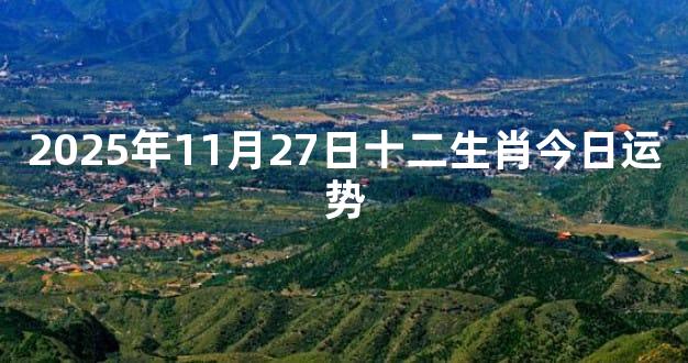 2025年11月27日十二生肖今日运势