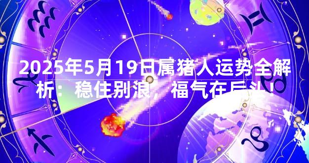 2025年5月19日属猪人运势全解析：稳住别浪，福气在后头！