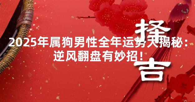 2025年属狗男性全年运势大揭秘：逆风翻盘有妙招！