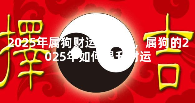 2025年属狗财运怎么样，属狗的2025年如何提升财运