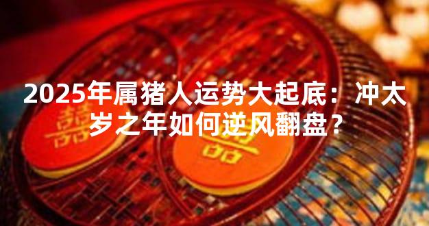2025年属猪人运势大起底：冲太岁之年如何逆风翻盘？
