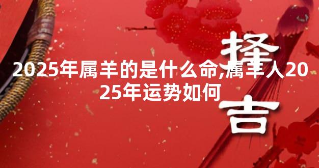 2025年属羊的是什么命,属羊人2025年运势如何