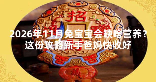 2026年11月兔宝宝会缺啥营养？这份攻略新手爸妈快收好