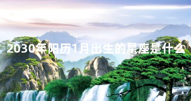 2030年阳历1月出生的星座是什么