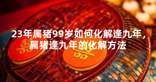 23年属猪99岁如何化解逢九年，属猪逢九年的化解方法
