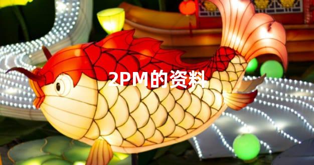 2PM的资料