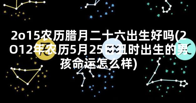 2o15农历腊月二十六出生好吗(2O12年农历5月25日丑时出生的男孩命运怎么样)
