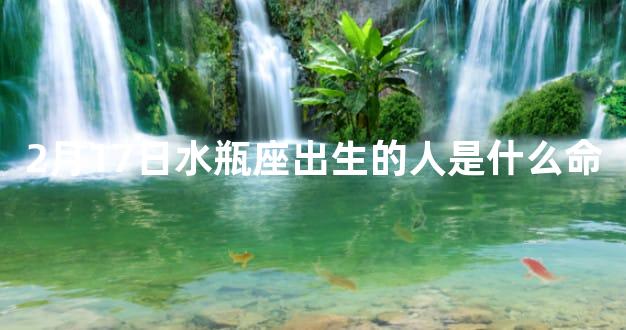 2月17日水瓶座出生的人是什么命