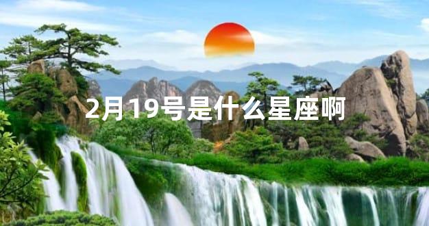 2月19号是什么星座啊