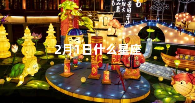 2月1日什么星座