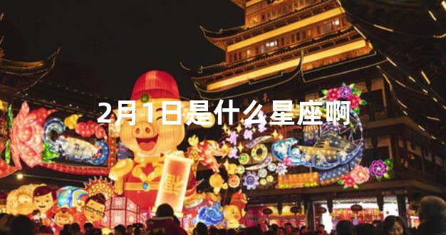2月1日是什么星座啊