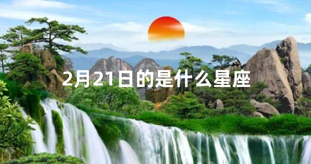 2月21日的是什么星座