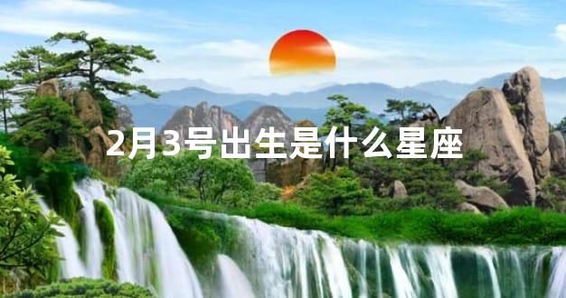 2月3号出生是什么星座