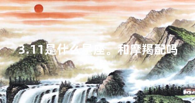 3.11是什么星座。和摩羯配吗