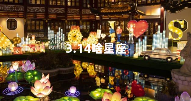 3.14啥星座
