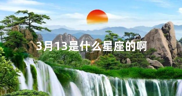 3月13是什么星座的啊