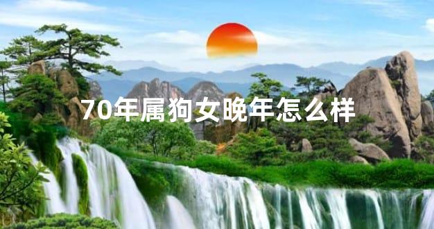 70年属狗女晚年怎么样