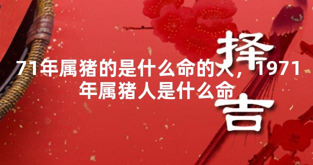 71年属猪的是什么命的人，1971年属猪人是什么命