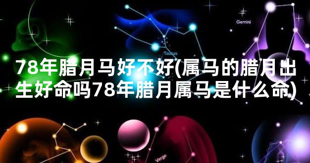 78年腊月马好不好(属马的腊月出生好命吗78年腊月属马是什么命)