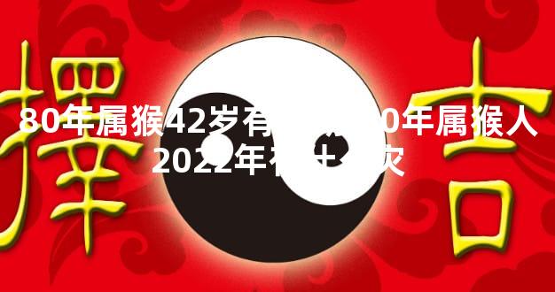 80年属猴42岁有个劫,80年属猴人2022年有什么灾