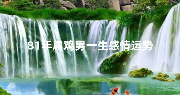 81年属鸡男一生感情运势