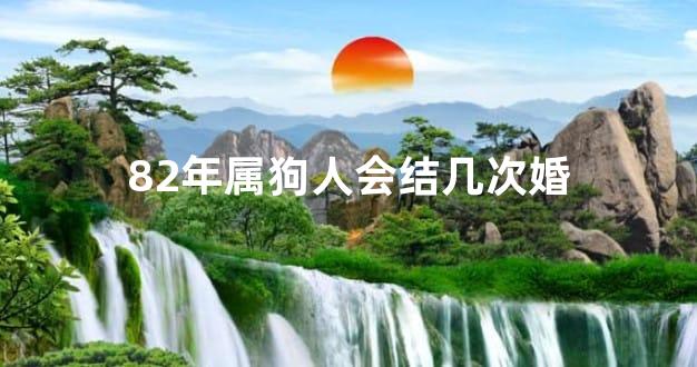 82年属狗人会结几次婚