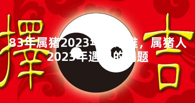 83年属猪2023年最艰难，属猪人2023年遇到的问题