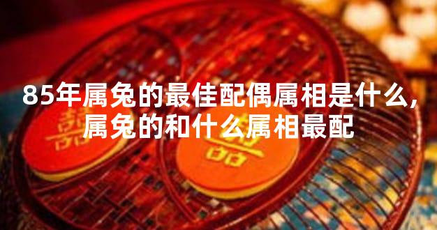 85年属兔的最佳配偶属相是什么,属兔的和什么属相最配