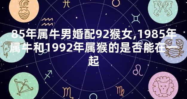 85年属牛男婚配92猴女,1985年属牛和1992年属猴的是否能在一起