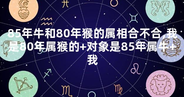 85年牛和80年猴的属相合不合,我是80年属猴的+对象是85年属牛+我
