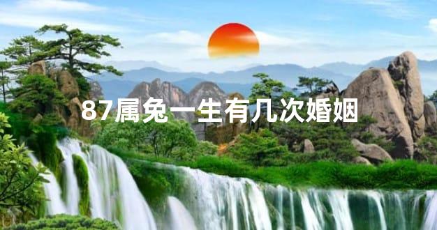 87属兔一生有几次婚姻
