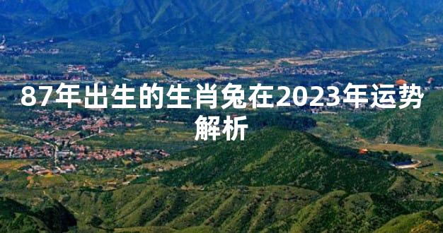 87年出生的生肖兔在2023年运势解析