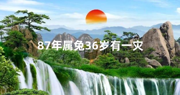 87年属兔36岁有一灾